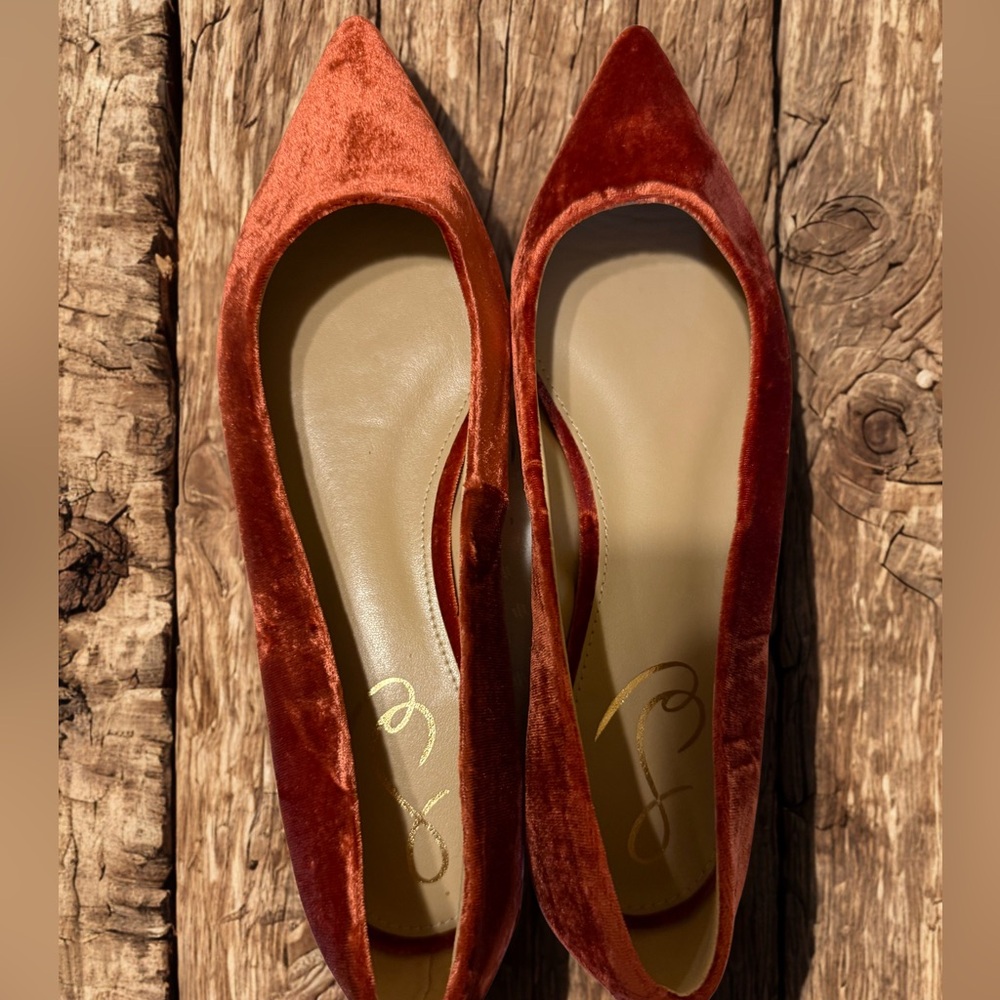 Sam Edelman Velvet Flats with Pointed Toe